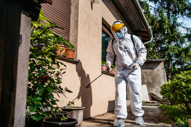 Best Best Pest Control Companies  in Hainesvle, IL