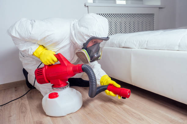 Best Pest Control for Businesses  in Hainesvle, IL